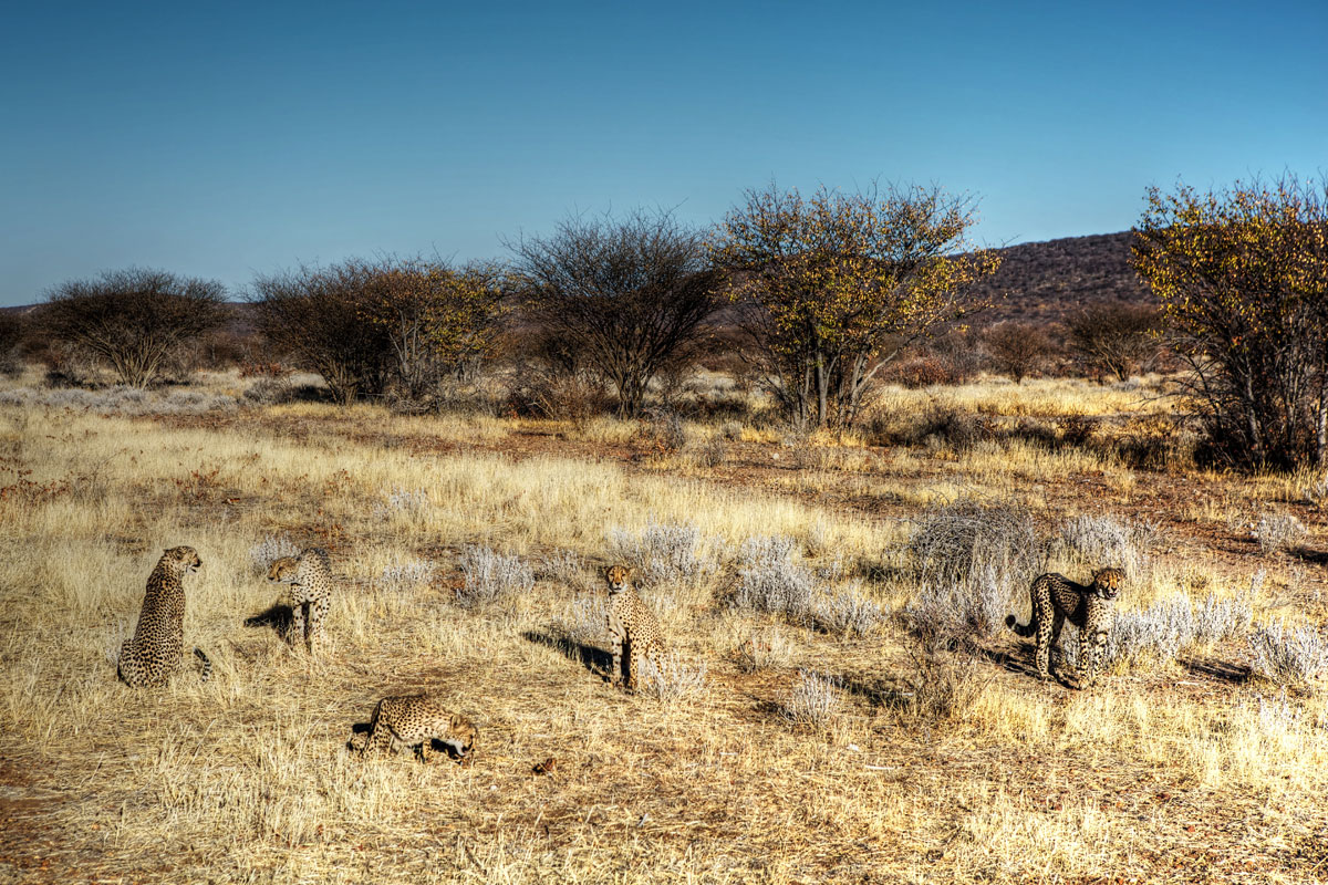 paesaggi-namibia_029_SP